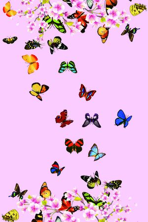 春天印花华亿平台图片