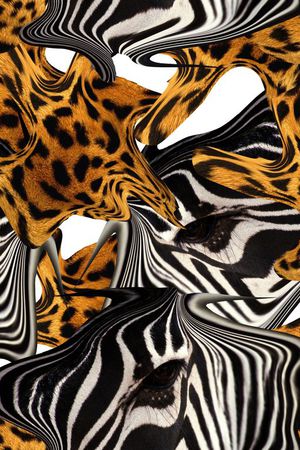 丛林混搭印花华亿平台图片