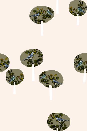 425117-工笔花鸟扇子