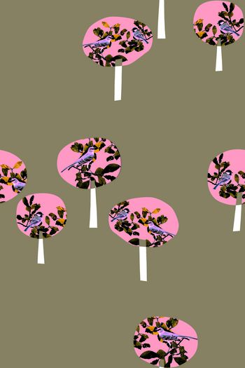 425118-工笔花鸟扇子