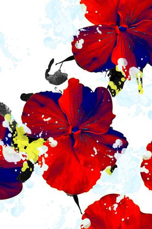 花瓣印花华亿平台图片