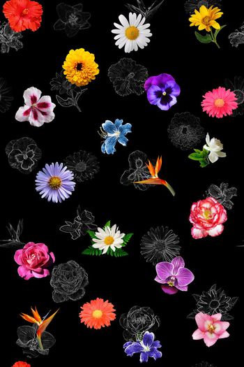 425232-暗底热带异国花卉花朵素描手绘效果组