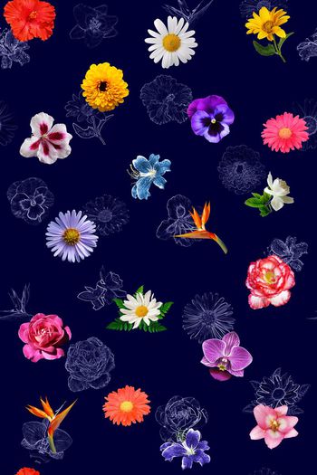 425233-暗底热带异国花卉花朵素描手绘效果组