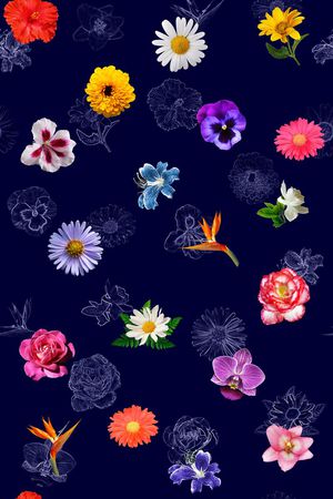 热带印花华亿平台图片