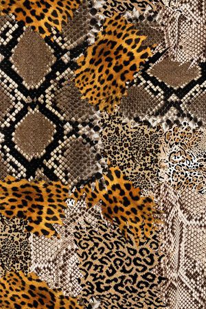 豹纹印花华亿平台图片