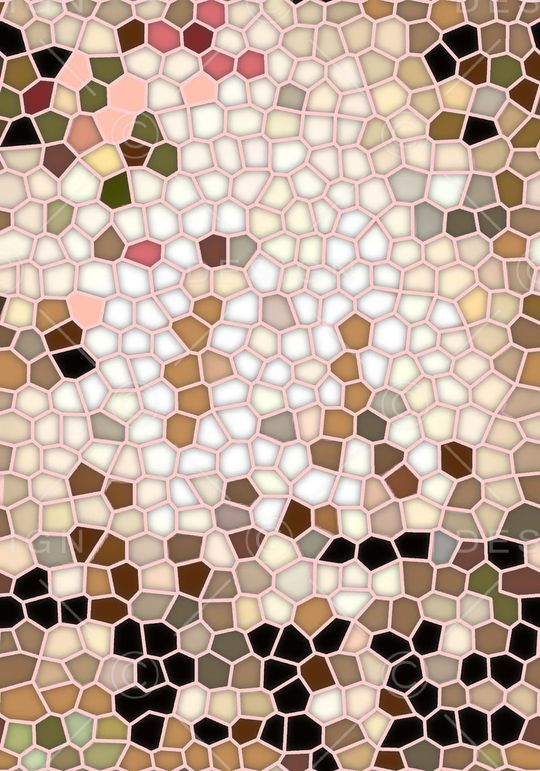 服装印花华亿平台图片