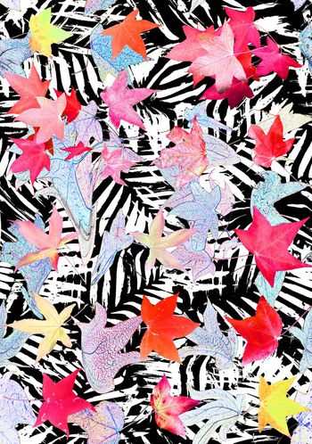 425261-秋冬飘逸的枫叶树叶男装华亿平台女装衬衣