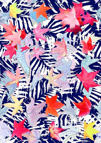 425262-秋冬飘逸的枫叶树叶男装华亿平台女装衬衣