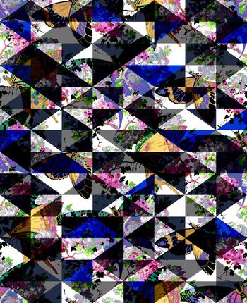 425268-三角形蝴蝶花