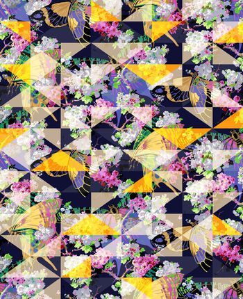 425272-三角形蝴蝶花