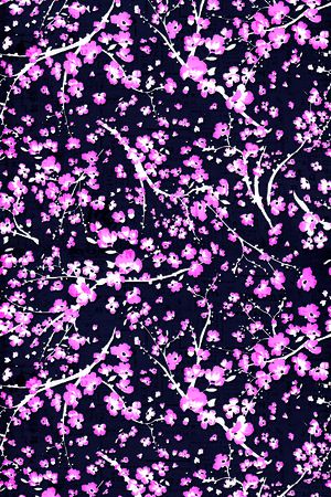 潮流时尚印花华亿平台图片