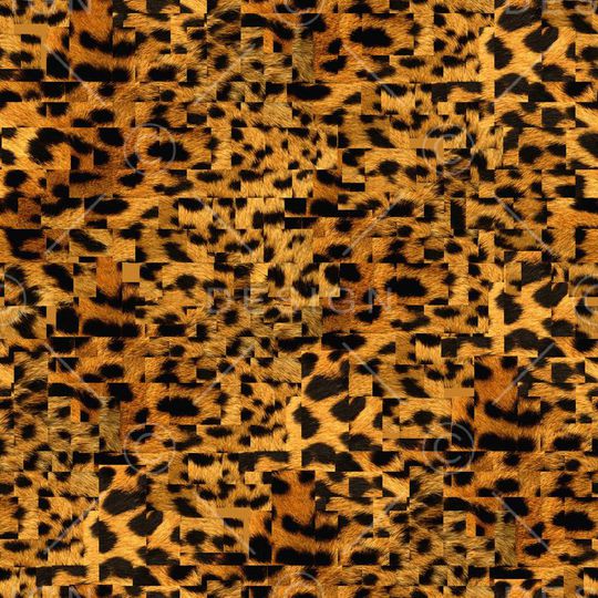 豹纹印花华亿平台图片