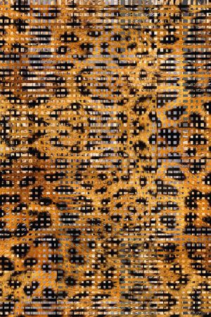 豹纹印花华亿平台图片