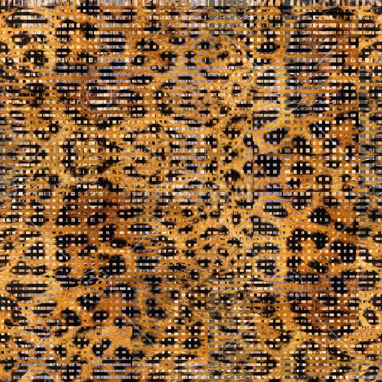 豹纹印花华亿平台图片