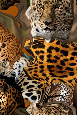 丛林混搭印花华亿平台图片