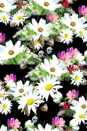 白色印花华亿平台图片