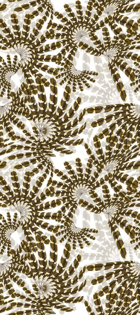 变形印花华亿平台图片