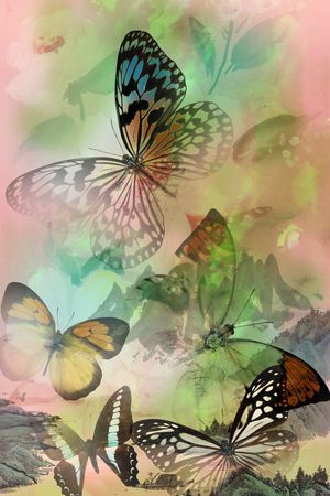 蝴蝶印花华亿平台图片