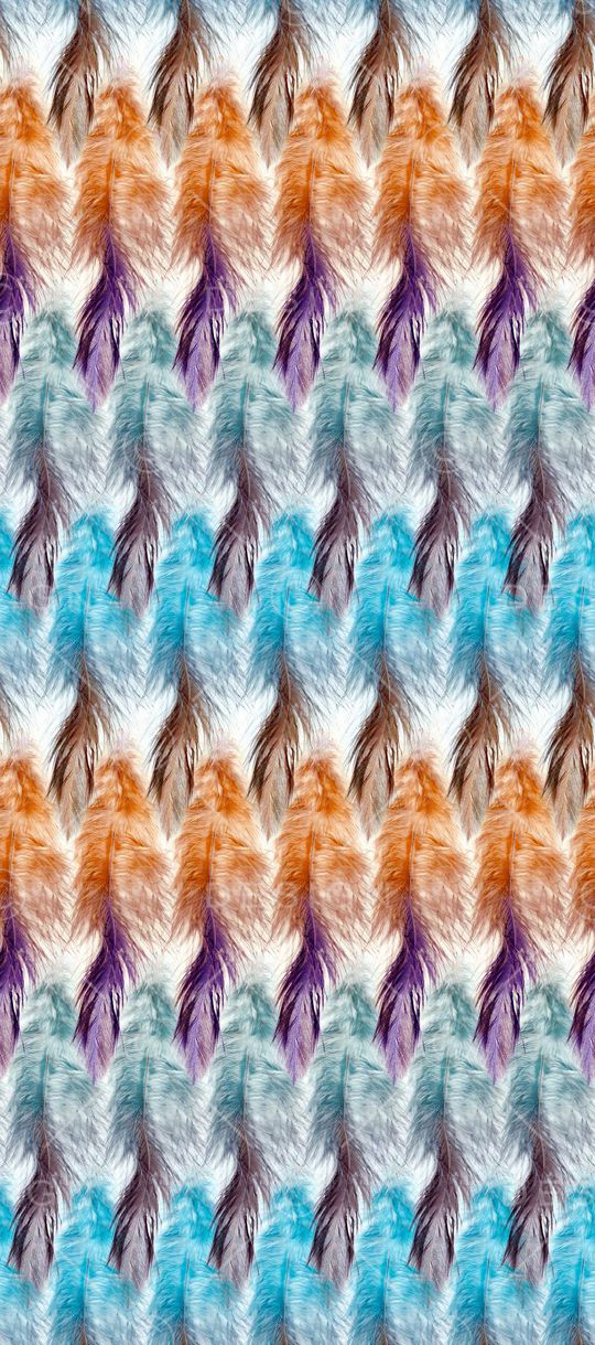 羽毛印花华亿平台图片