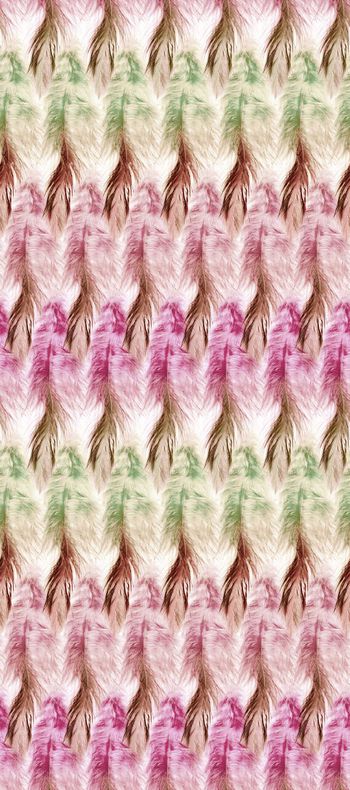 425546-渐变轻柔羽毛