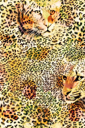 豹纹印花华亿平台图片