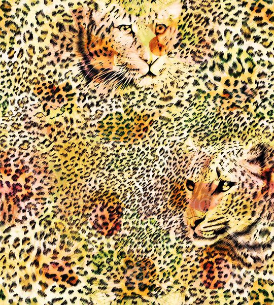 豹纹印花华亿平台图片