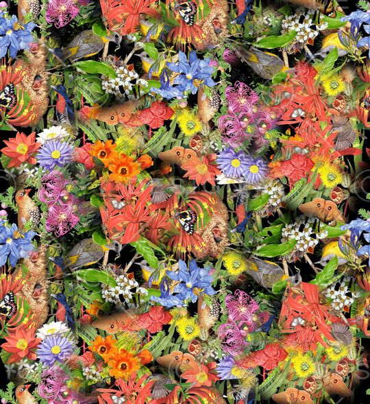 潮流时尚印花华亿平台图片