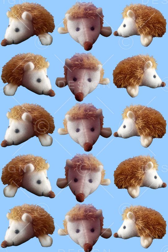 刺猬印花华亿平台图片