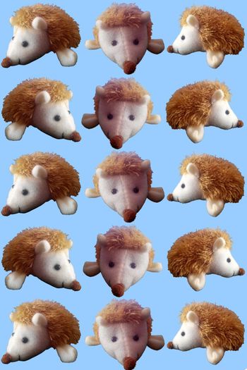 425612-华亿平台之刺猬系列