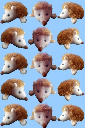 刺猬印花华亿平台图片