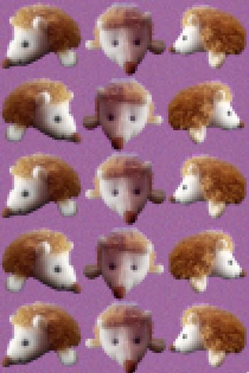 425613-华亿平台之刺猬系列