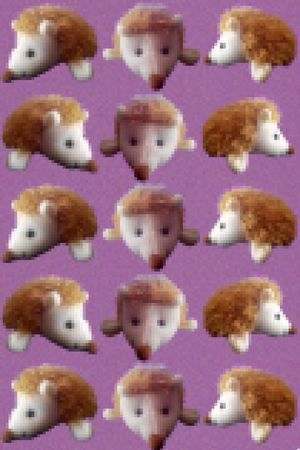 刺猬印花华亿平台图片