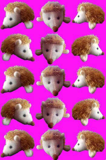 425614-华亿平台之刺猬系列