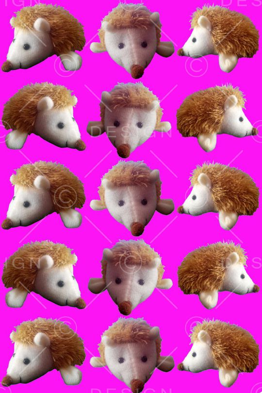 刺猬印花华亿平台图片