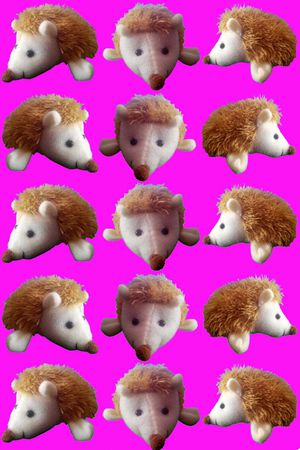 刺猬印花华亿平台图片