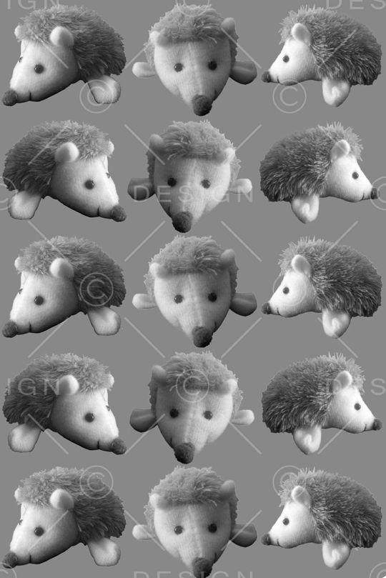 刺猬印花华亿平台图片