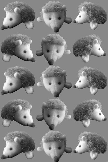 425615-华亿平台之刺猬系列