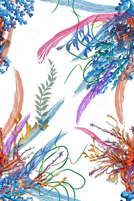 海洋印花华亿平台图片