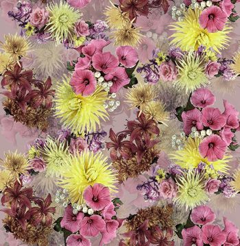 425787-蜘蛛网野菊花百合花牵牛花组合花卉