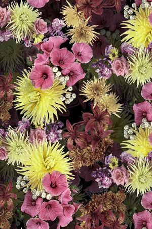 优雅花卉印花华亿平台图片