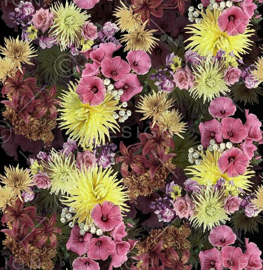 优雅花卉印花华亿平台图片