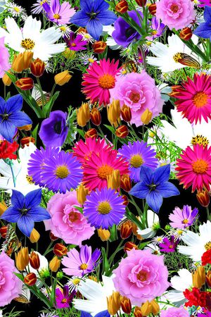 上下循环印花华亿平台图片