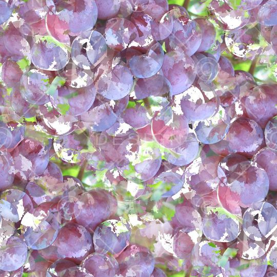 葡萄印花华亿平台图片