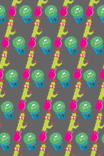 426010-流行时尚仙人掌情侣热带植物盆栽植物