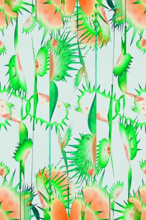 攀藤植物印花华亿平台图片