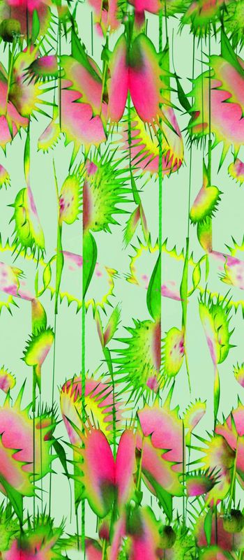 426024-定位大花卉