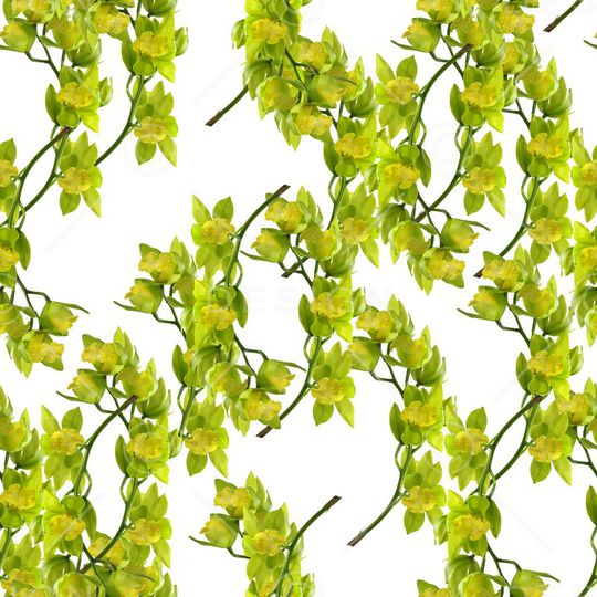 春夏华亿平台印花华亿平台图片