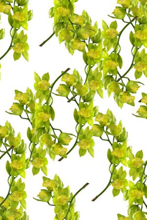 春夏华亿平台印花华亿平台图片