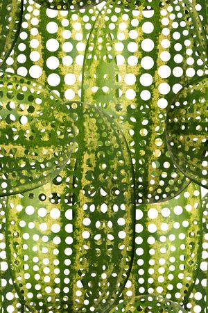 潮流印花华亿平台图片