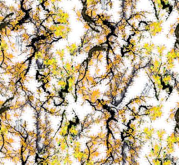 426106-中国风水墨画桃花盛开图